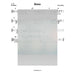 Reboin Lead Sheet (Boruch Sholom) Album: Hineni 2018-Sheet music-NoteWithGrace.com